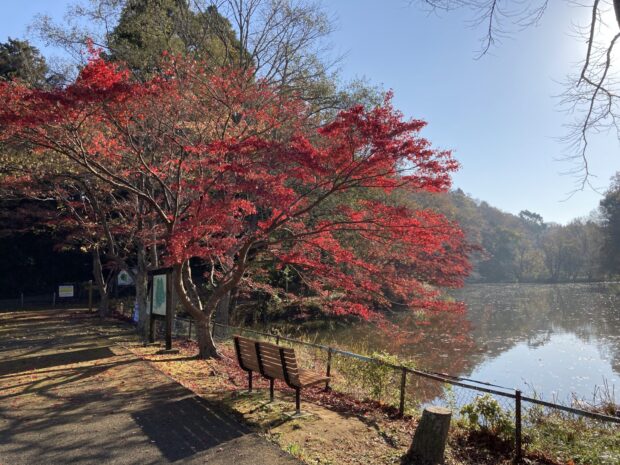 下の池
