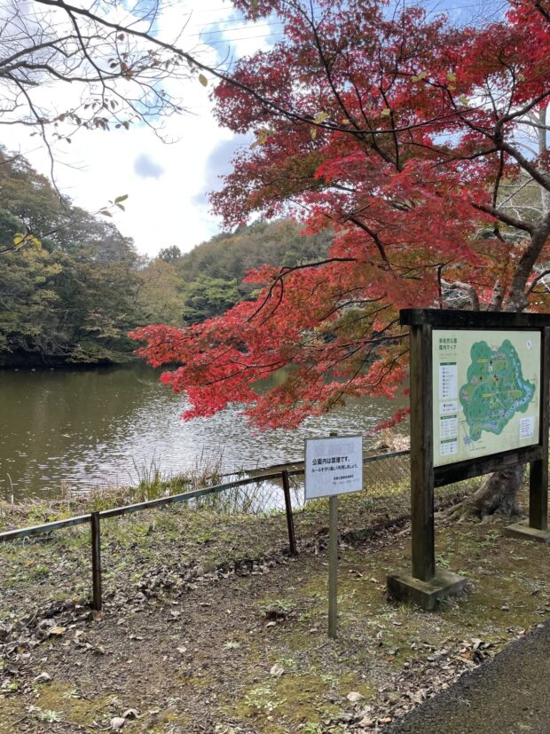 下の池