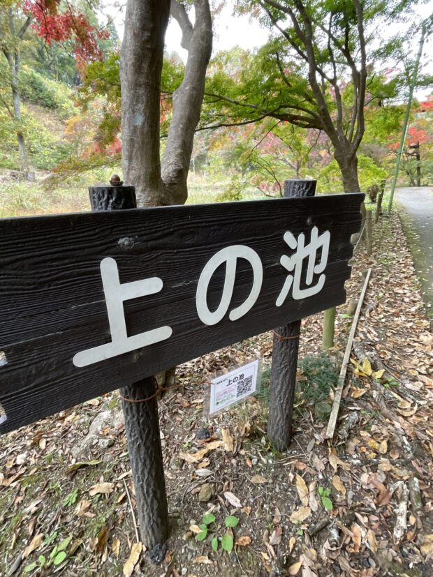 上の池