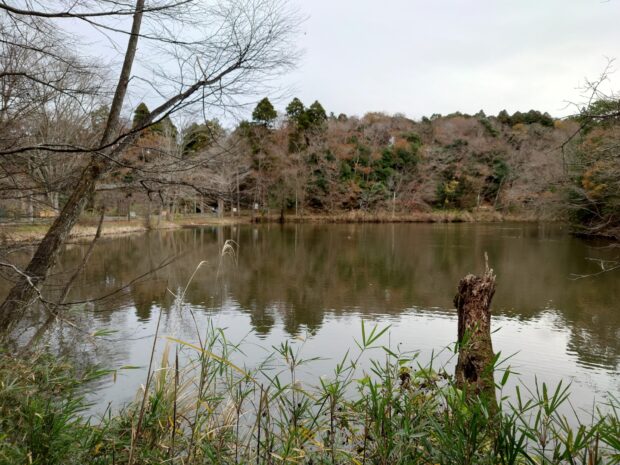 下の池