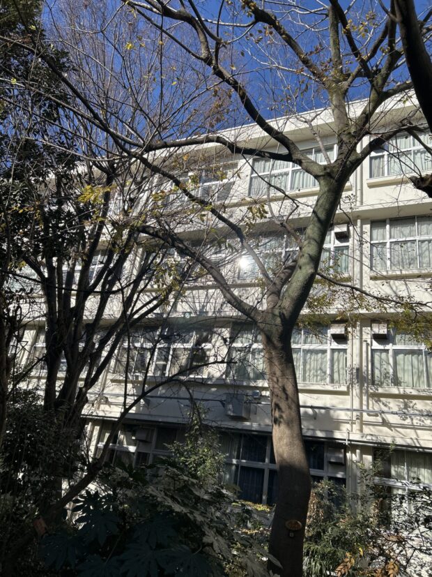 エノキ