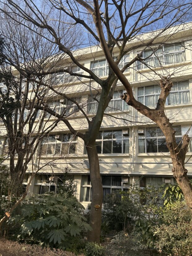 エノキ