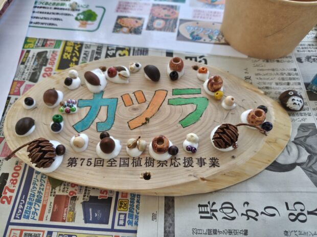 カツラ