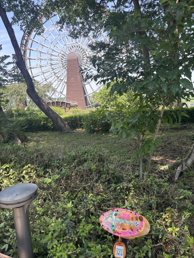 オオムラサキツツジ