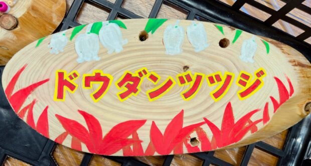 ドウダンツツジ