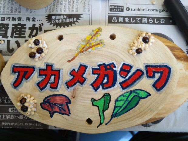 アカメガシワ