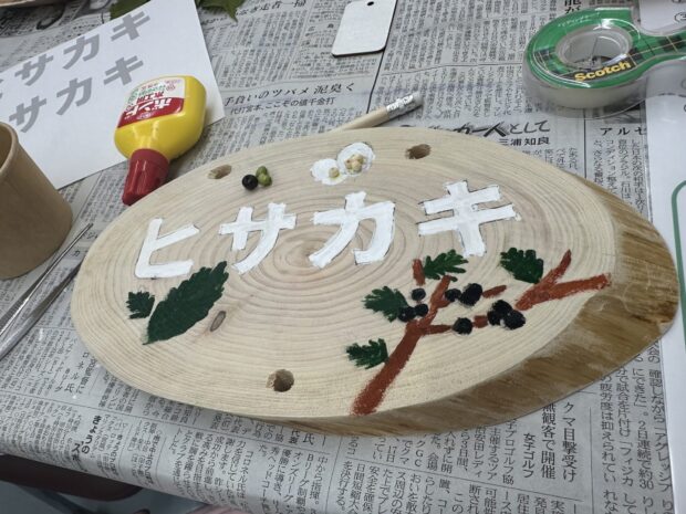 マルバヤナギ