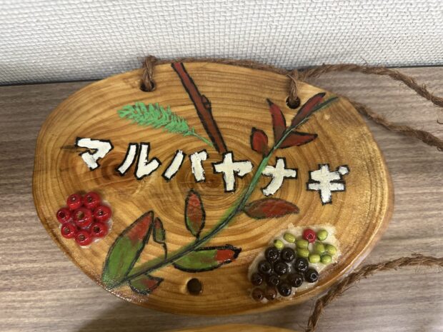 マルバヤナギ
