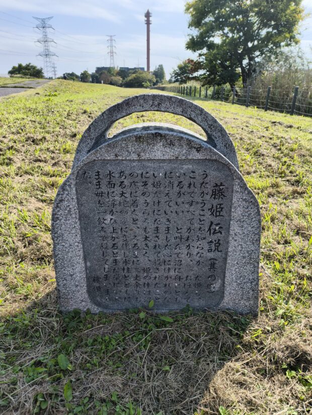 藤姫伝説(其の四)