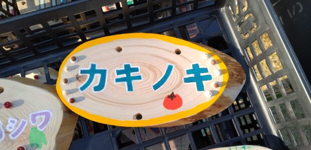 カキノキ
