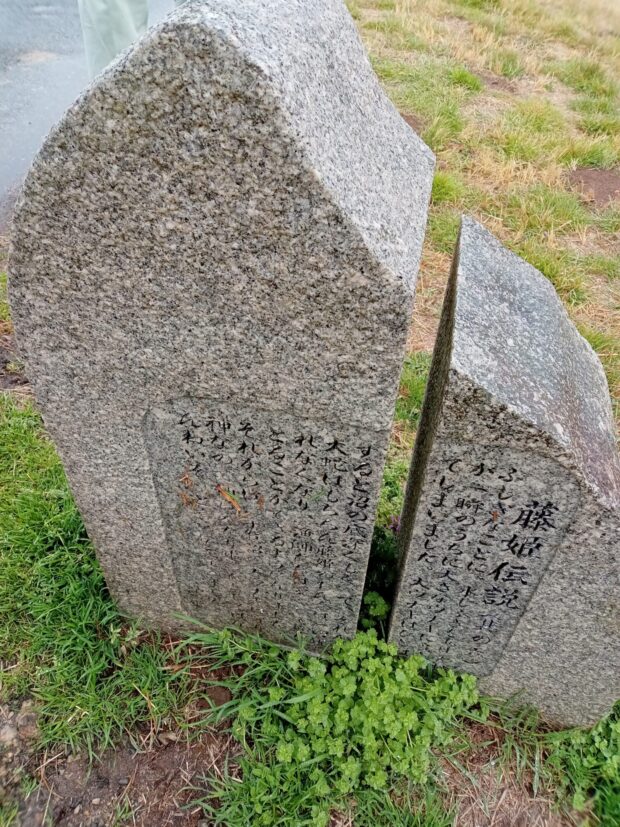 藤姫伝説（其の六）