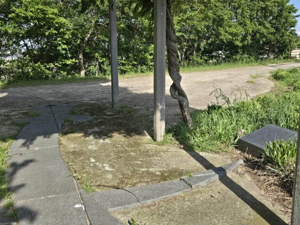 手賀沼の主(藤姫伝説より)