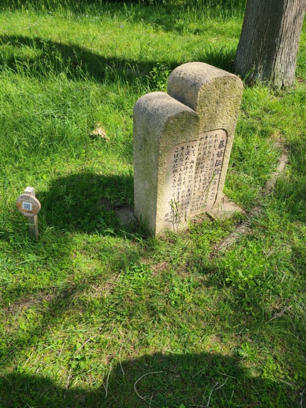 藤姫伝説(其の壱)