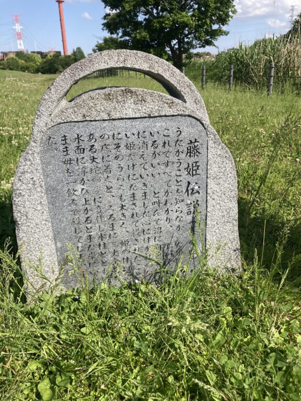 藤姫伝説(其の四)