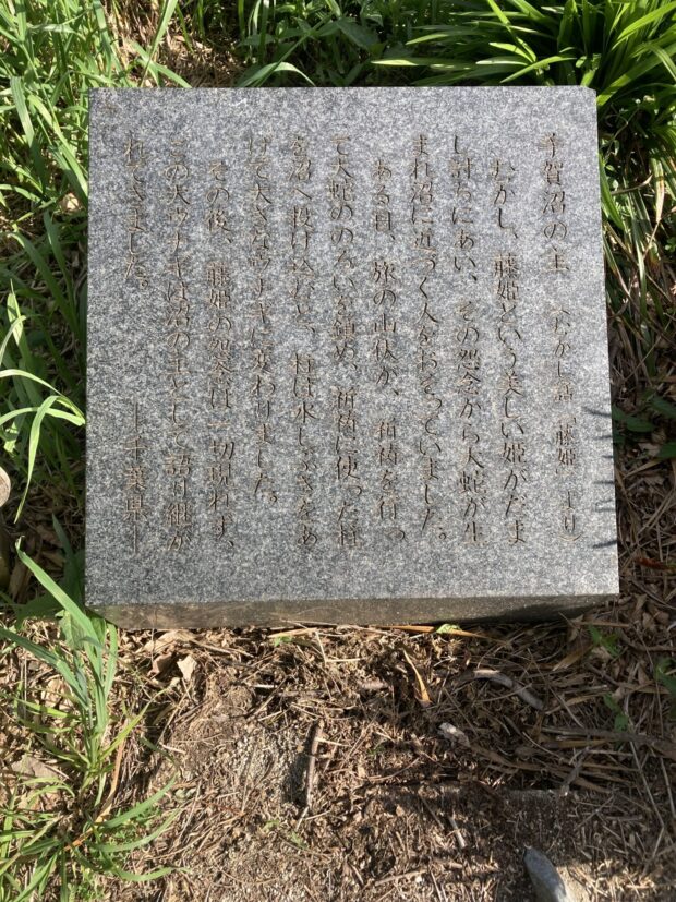手賀沼の主(藤姫伝説より)