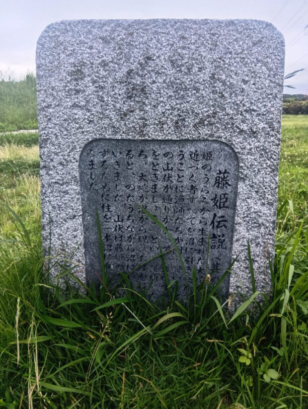 手賀沼の主(藤姫伝説より)