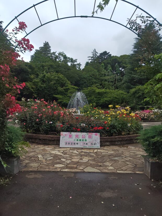 バラ