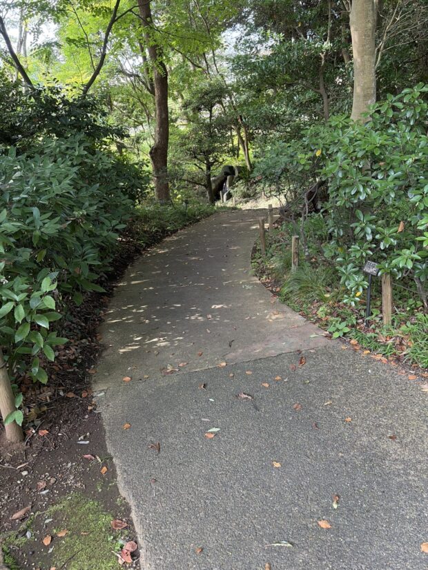 灌木見本園