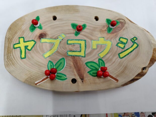 ヤブコウジ