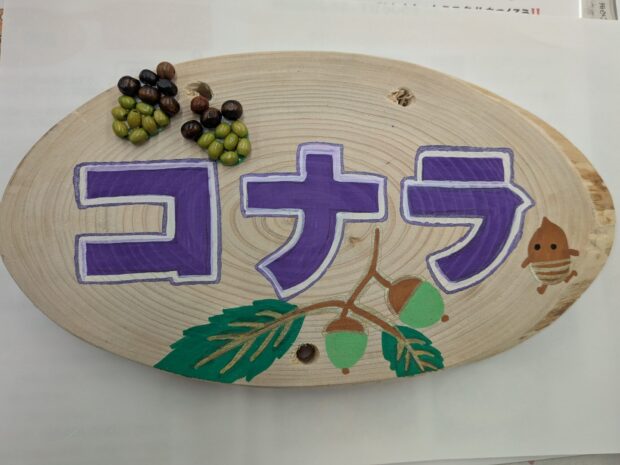 コナラ