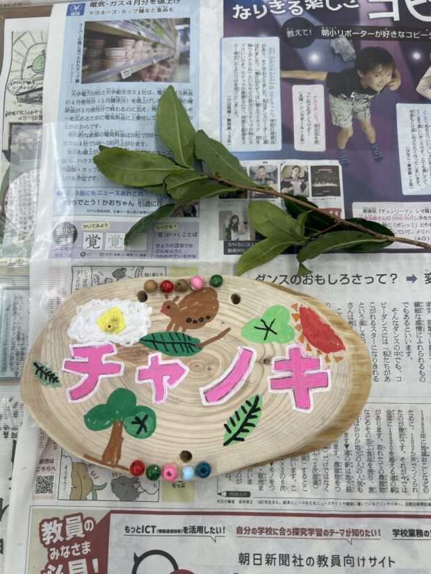 チャノキ