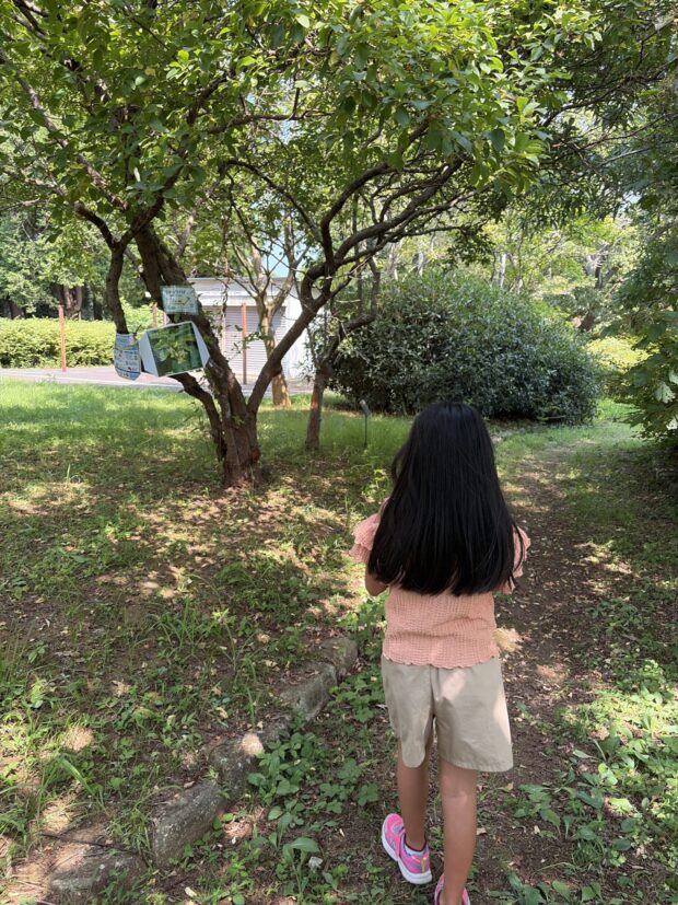リキュウバイ