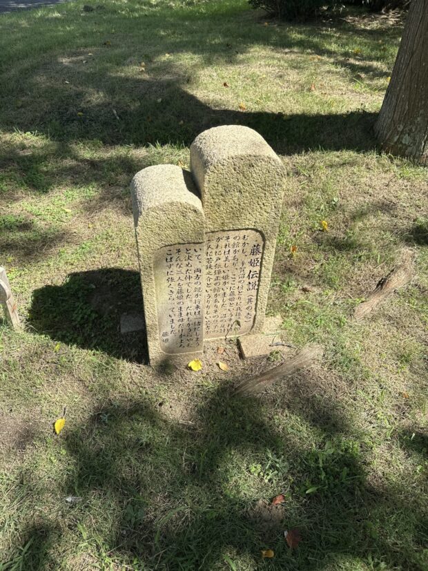藤姫伝説(其の壱)