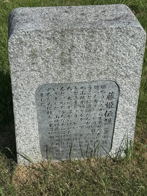 藤姫伝説（其の伍）