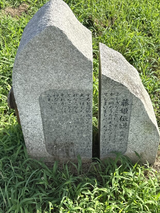 藤姫伝説（其の六）