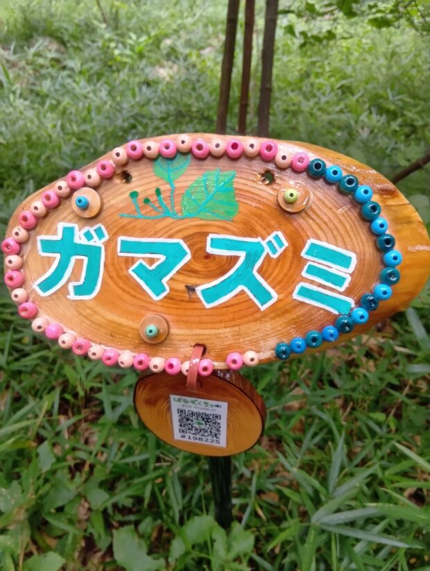 ガマズミ