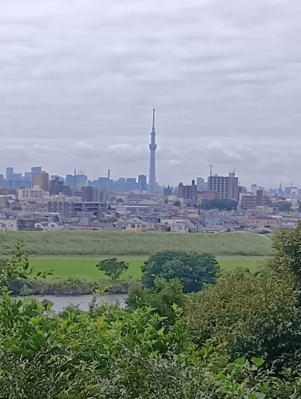 展望案内板