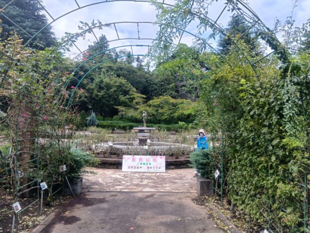 噴水広場バラ園