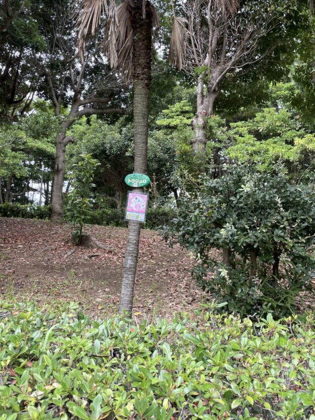 トウジュロ