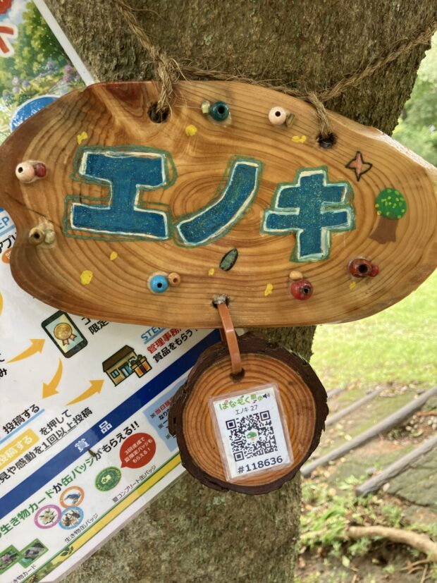 エノキ