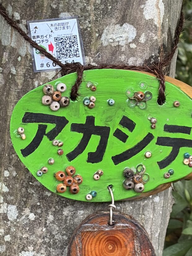 アカシデ