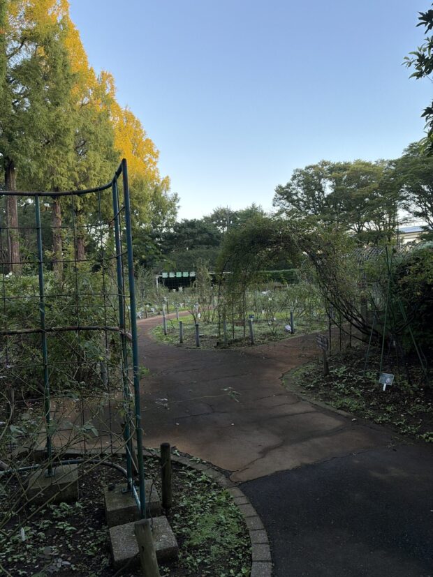 市民バラ園