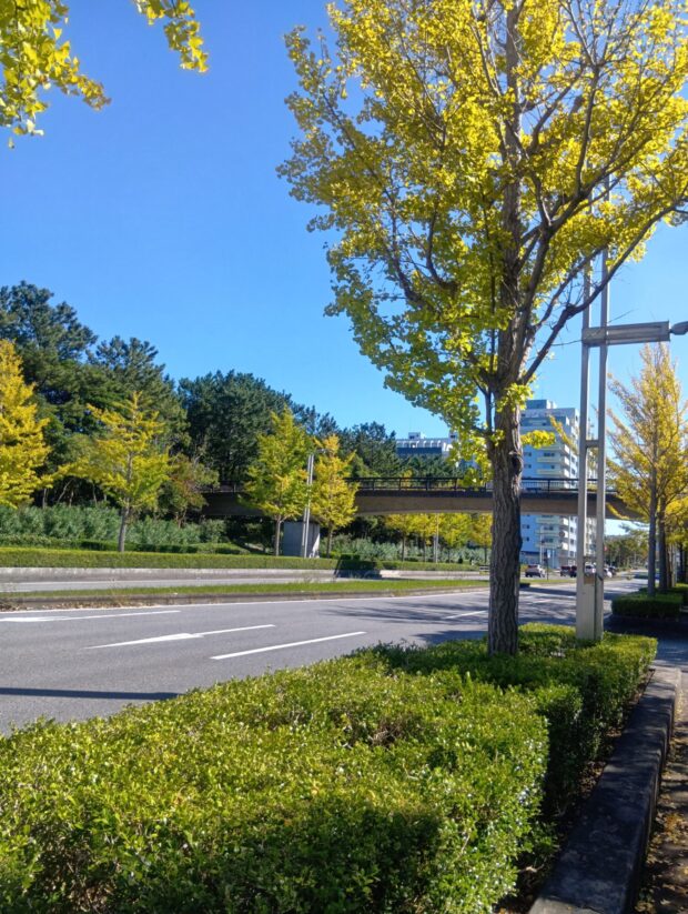 ひびの橋