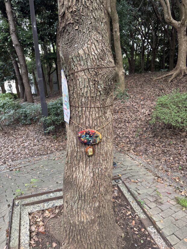 クスノキ