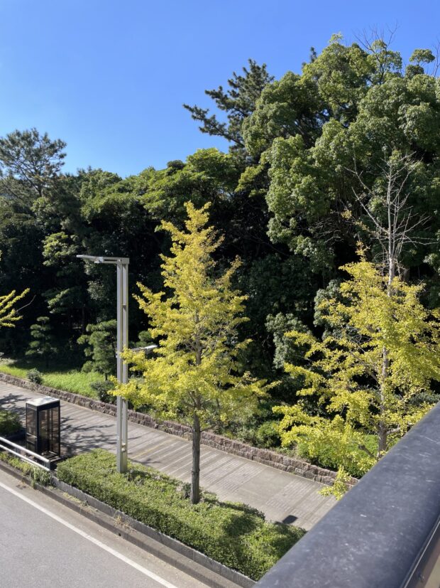 ひびの橋